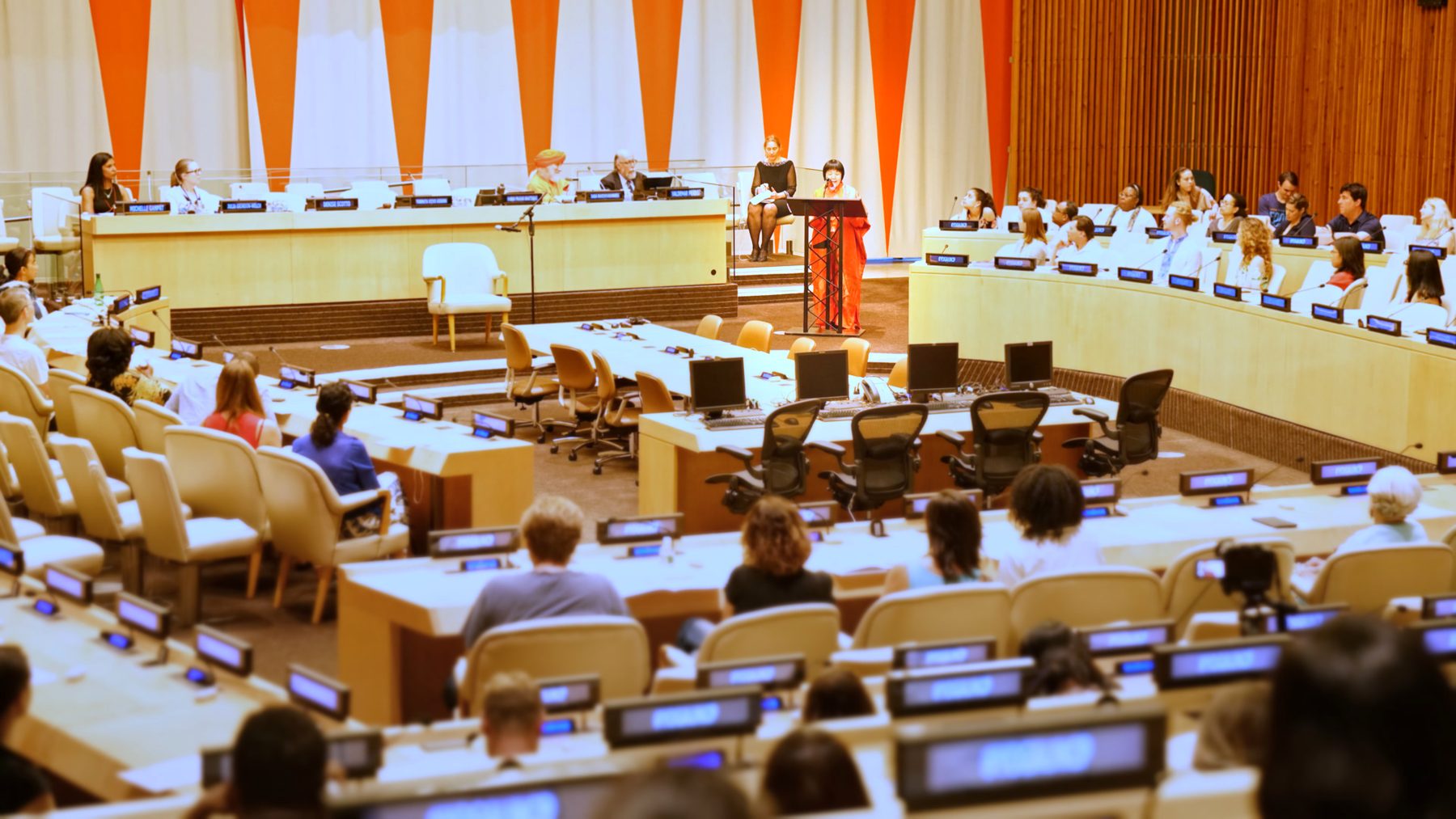 Yogmata delivering a keynote speech at the United Nations